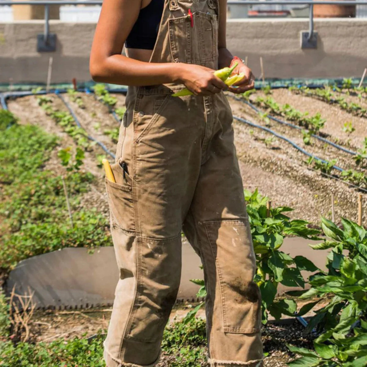 Gardaly Ridge Latzhose aus Duck-Canvas