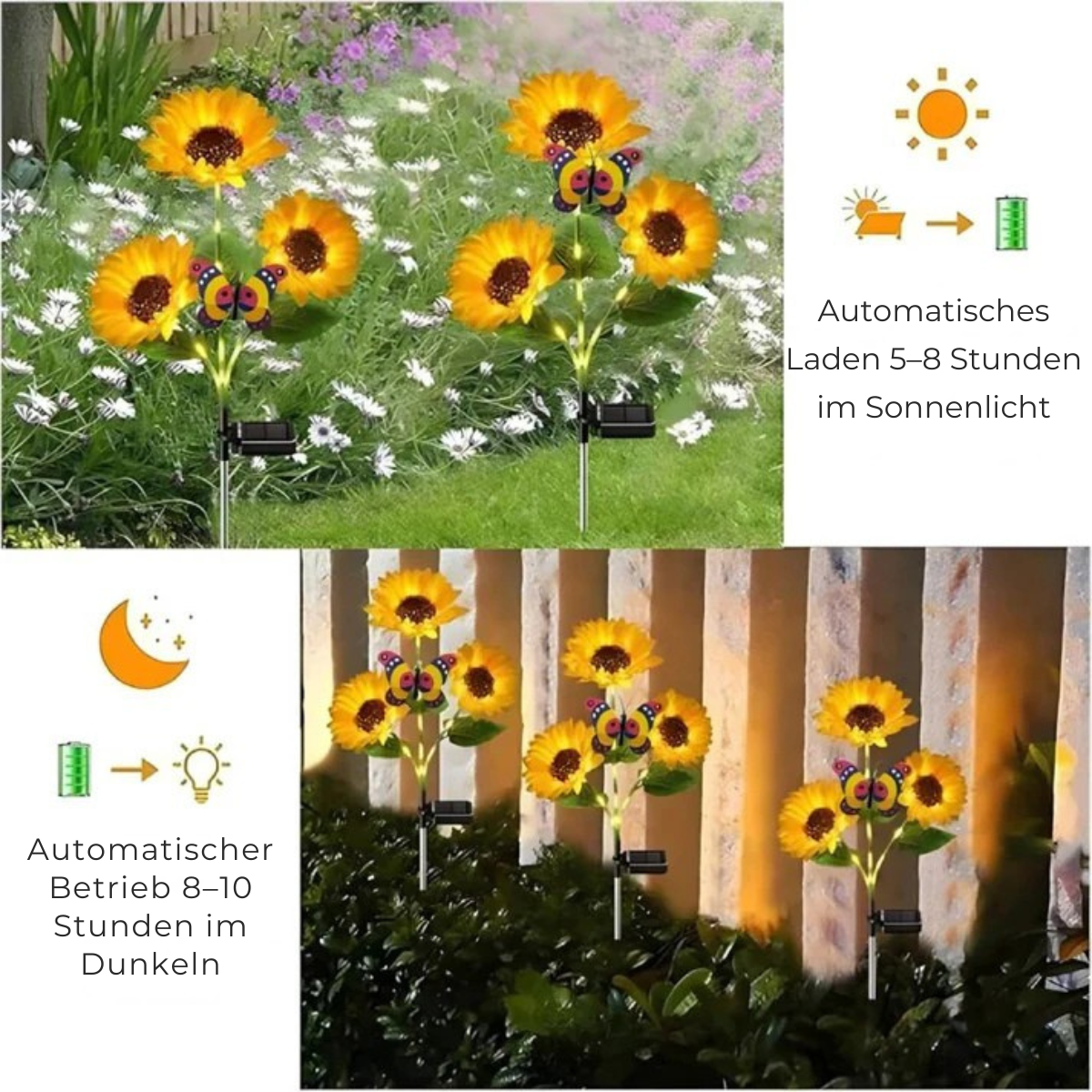 Gardaly – Solar SunFlower™ LED-Leuchten